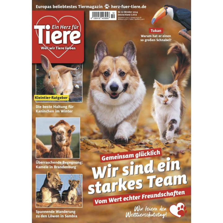 EIN HERZ FÜR TIERE 2024/10