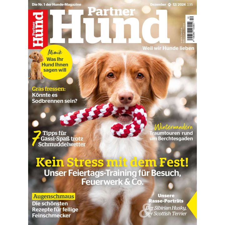 Partner Hund zum Verschenken