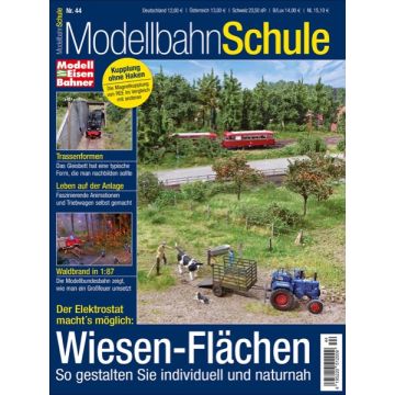 Modellbahn Schule 44 - Wiesen-Flächen - digital