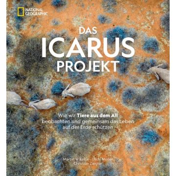 Das ICARUS Projekt