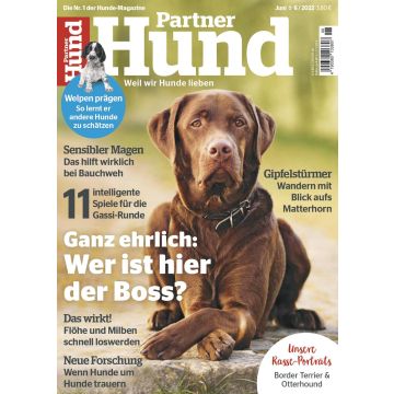 Partner Hund 2022/06 - digital