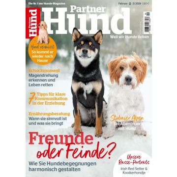 Partner Hund 2024/02