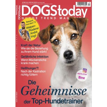 Dogs Today 2020/04 - digital